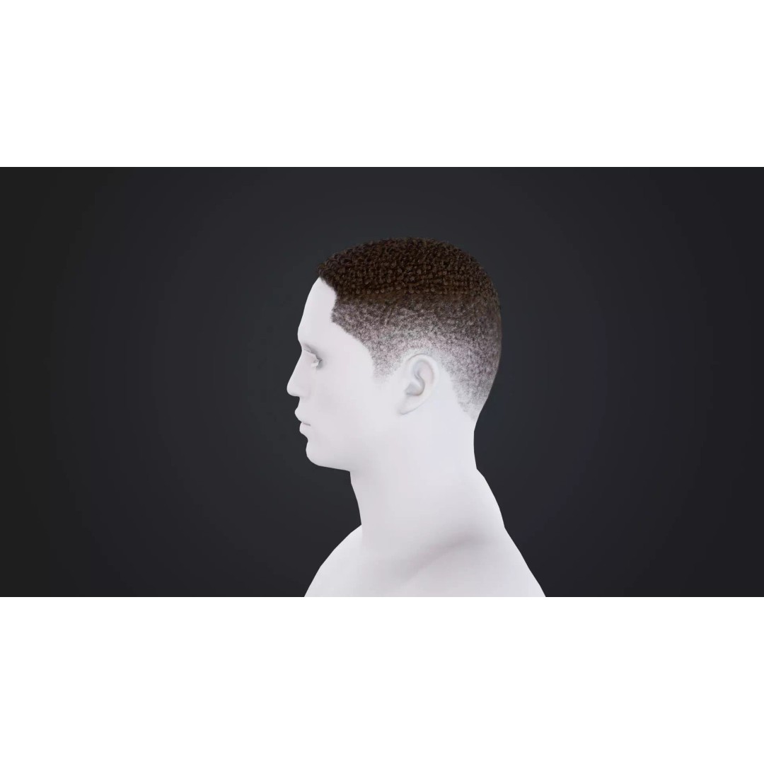 African Character Hair 3D Model – Low-Poly Male Wig, FBX - View 4