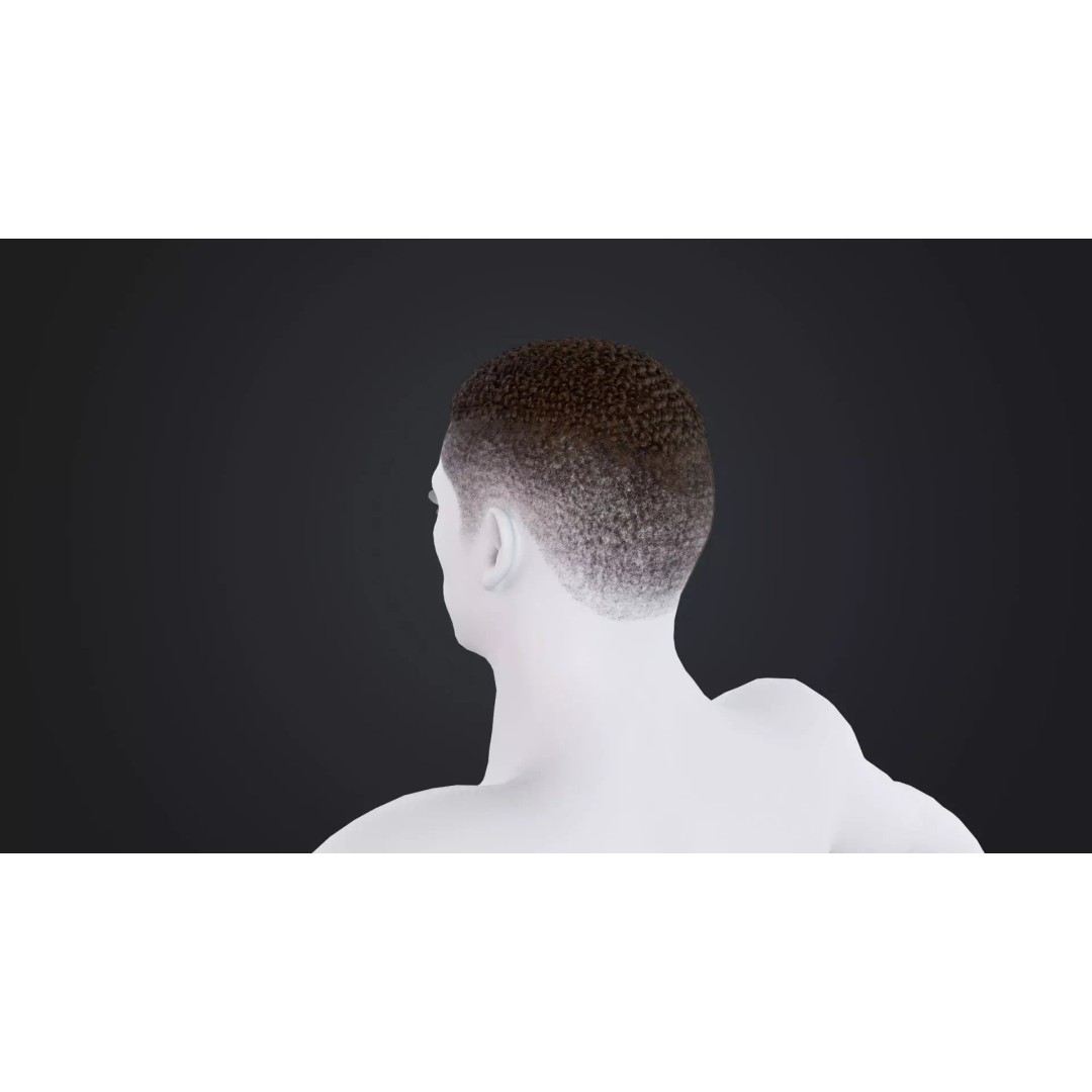 African Character Hair 3D Model – Low-Poly Male Wig, FBX - View 5