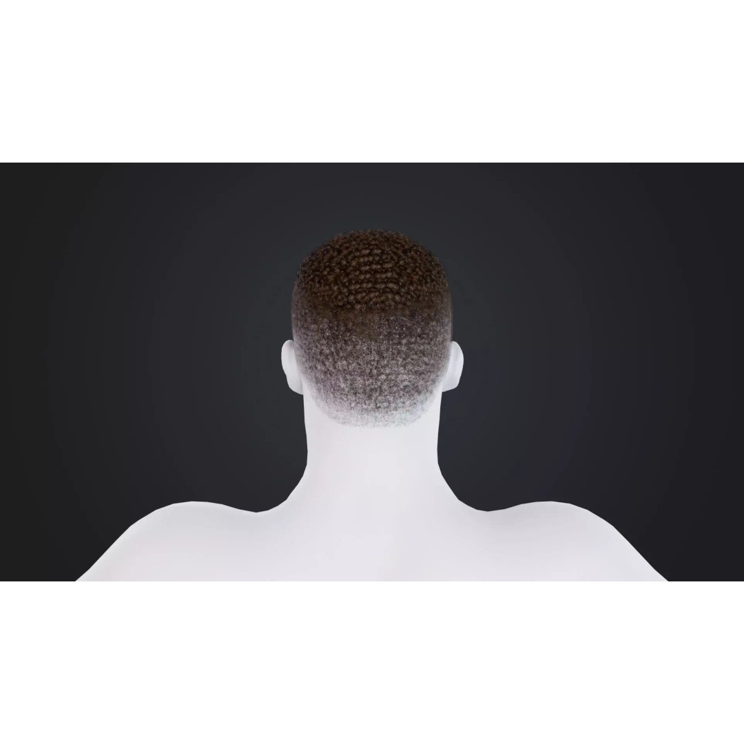 African Character Hair 3D Model – Low-Poly Male Wig, FBX - View 6