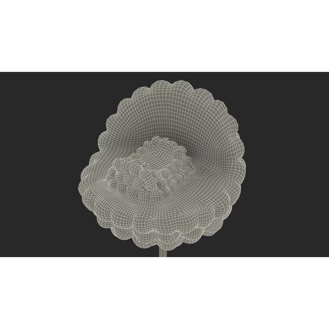 HIV Virus 3D Model – Educational Detailed Structure on Metal Stand - View 18