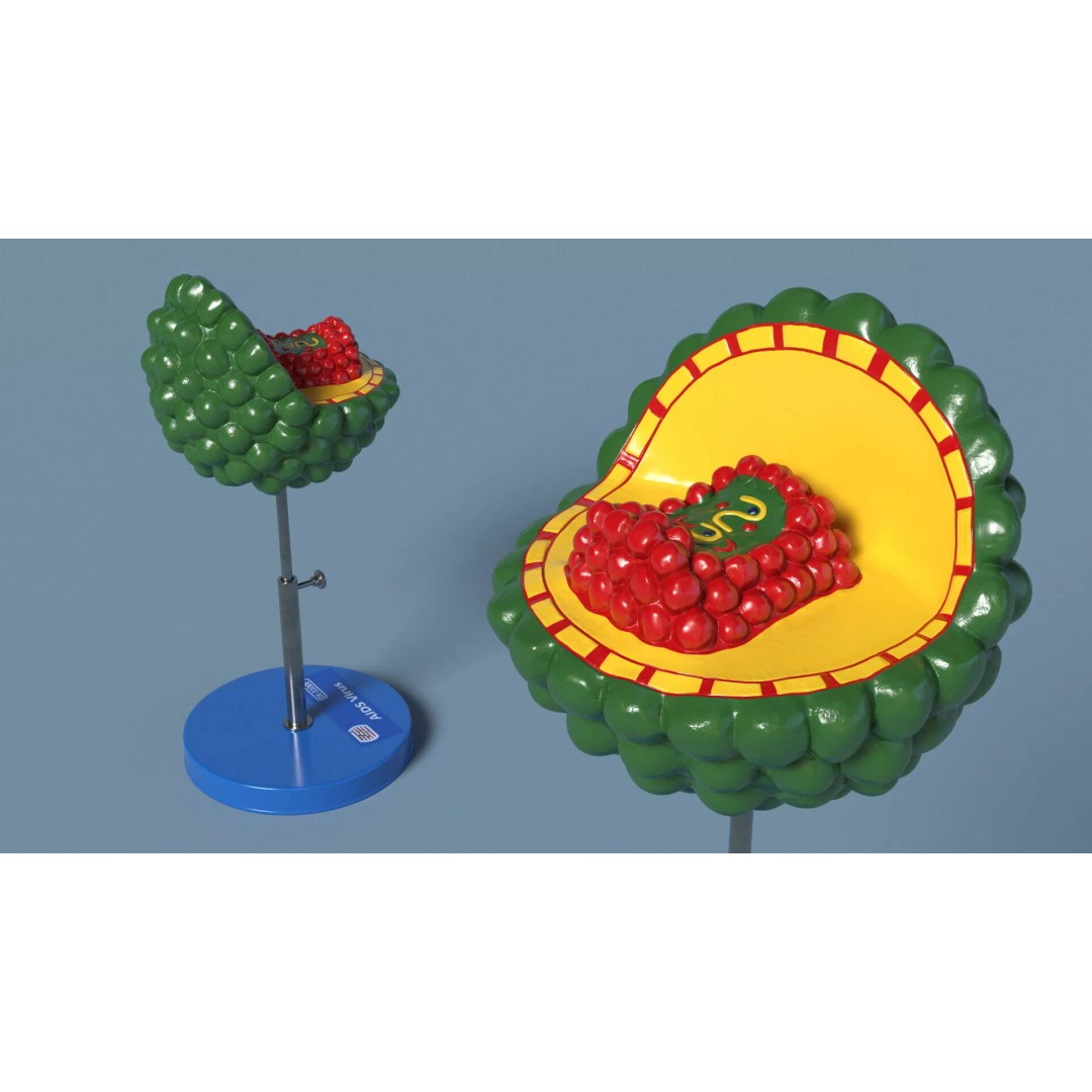 HIV Virus 3D Model – Educational Detailed Structure on Metal Stand - View 2