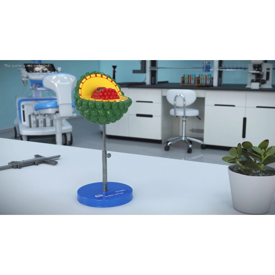 HIV Virus 3D Model – Educational Detailed Structure on Metal Stand - View 4