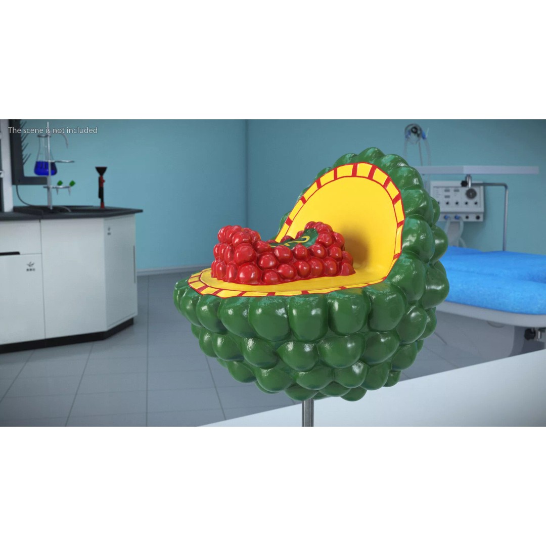 HIV Virus 3D Model – Educational Detailed Structure on Metal Stand - View 5
