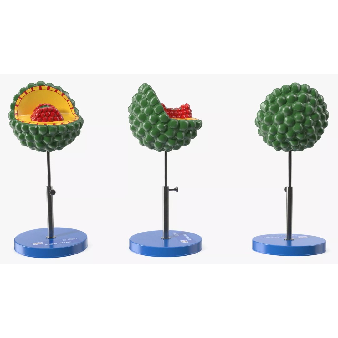 HIV Virus 3D Model – Educational Detailed Structure on Metal Stand - View 6