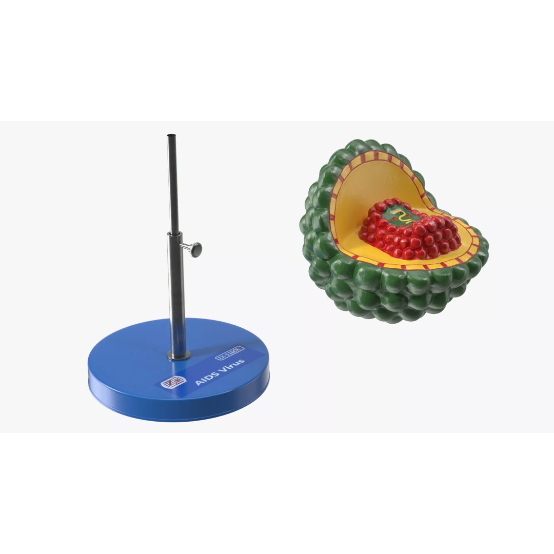 HIV Virus 3D Model – Educational Detailed Structure on Metal Stand - View 9