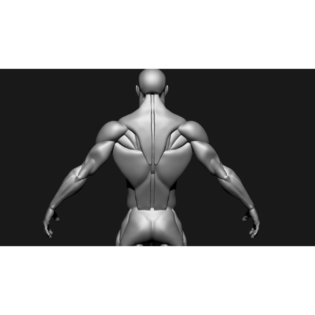 Stylized Human Body 3D Model – High Poly Character Asset, FBX