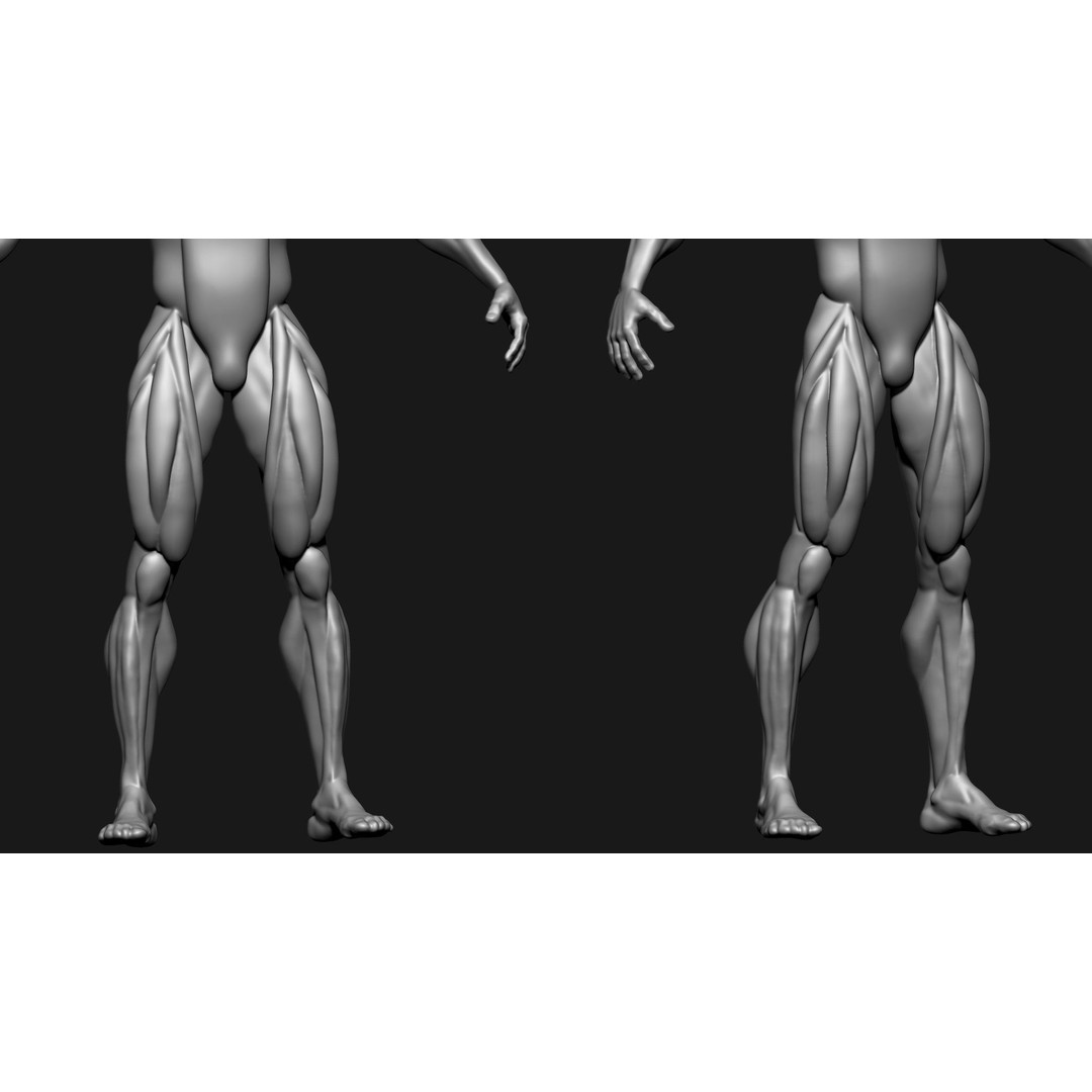 Stylized Human Body 3D Model – High Poly Character Asset, FBX - View 10