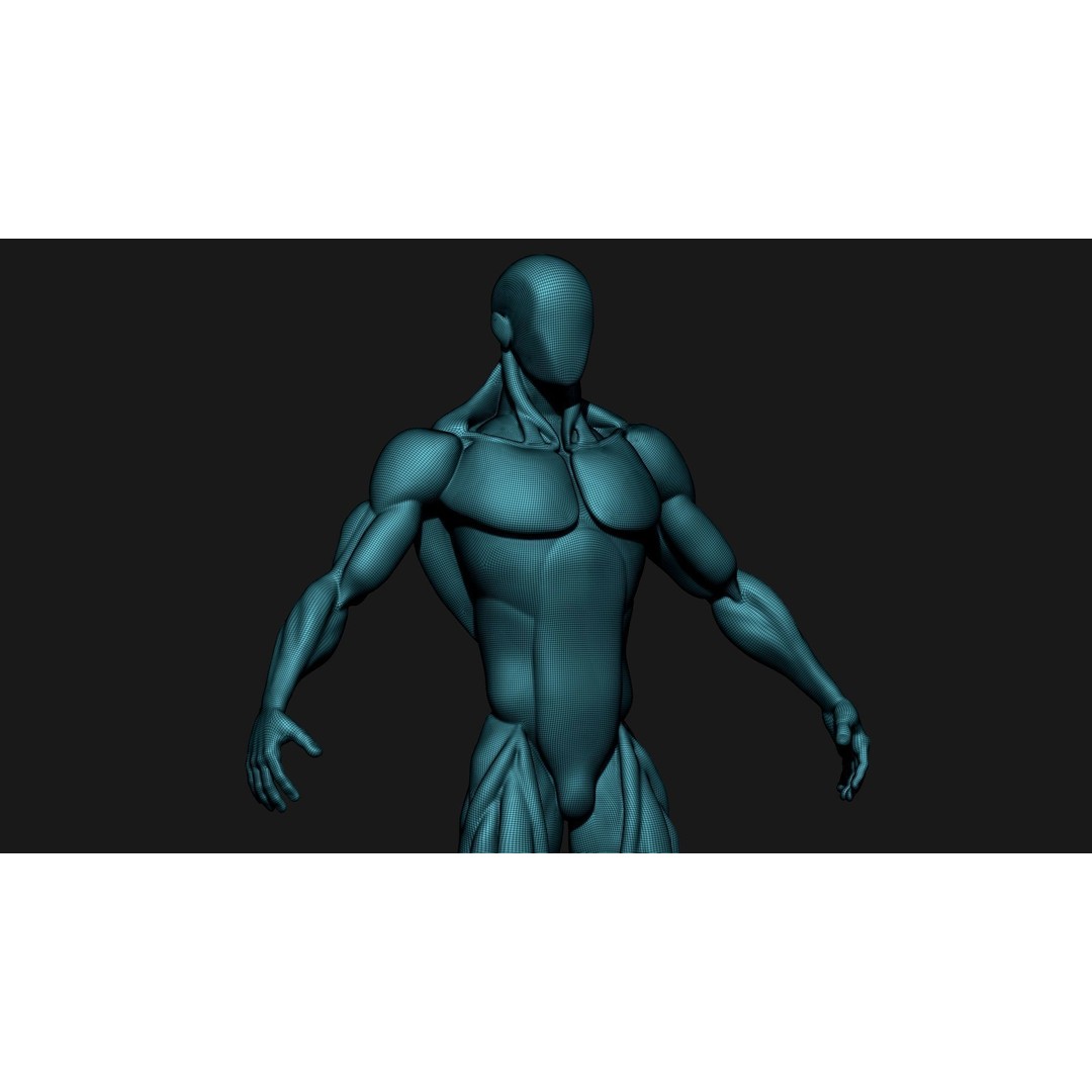 Stylized Human Body 3D Model – High Poly Character Asset, FBX - View 13