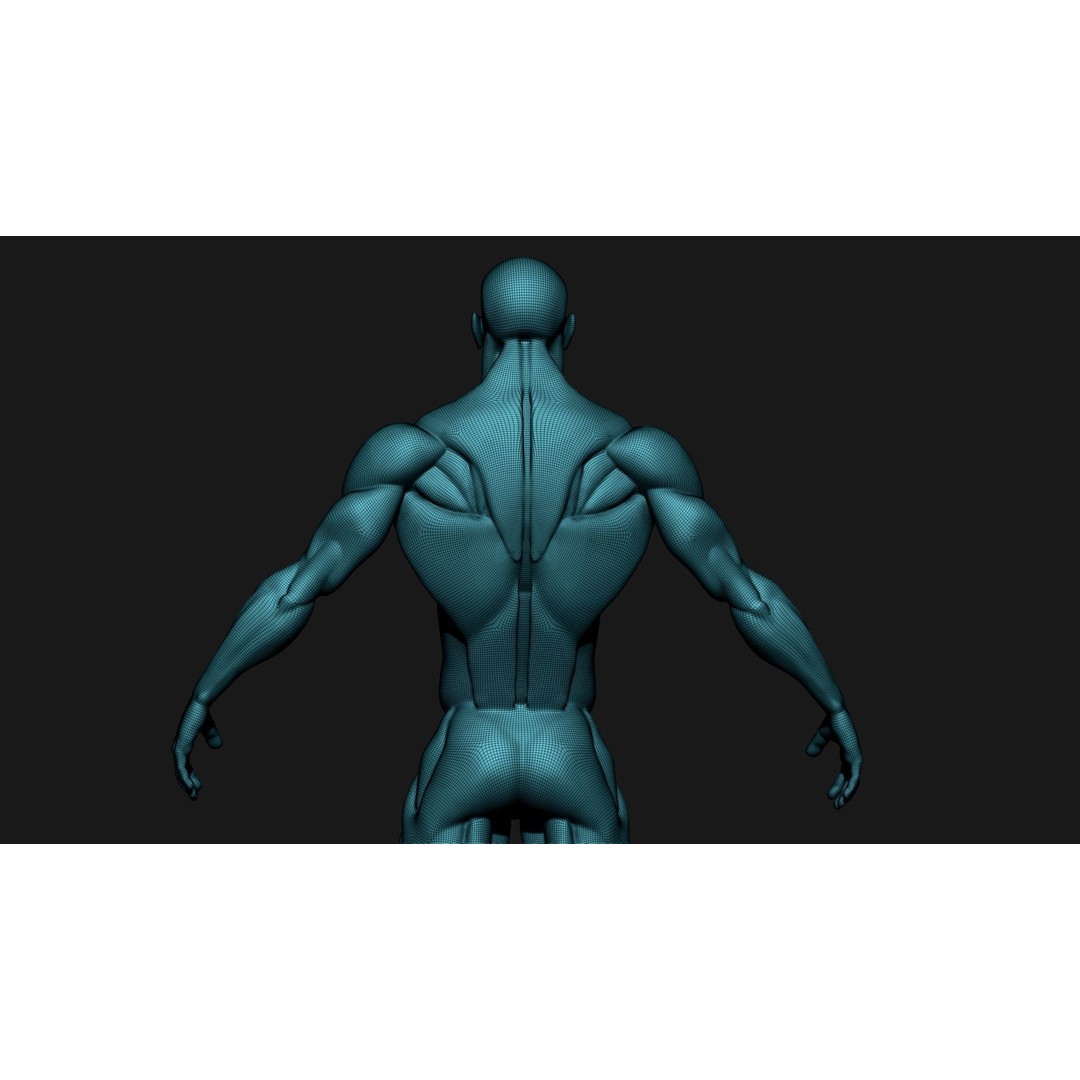 Stylized Human Body 3D Model – High Poly Character Asset, FBX - View 14