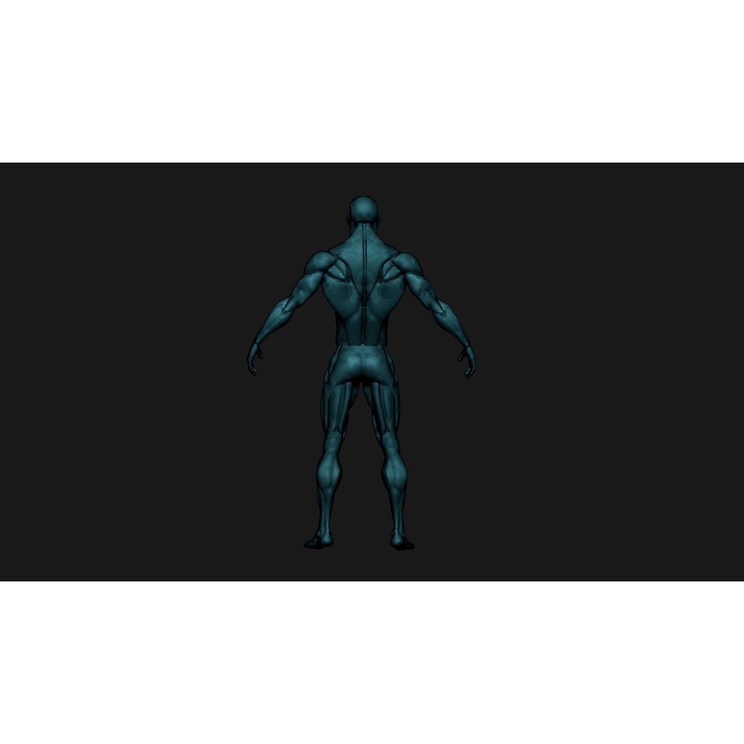 Stylized Human Body 3D Model – High Poly Character Asset, FBX - View 15