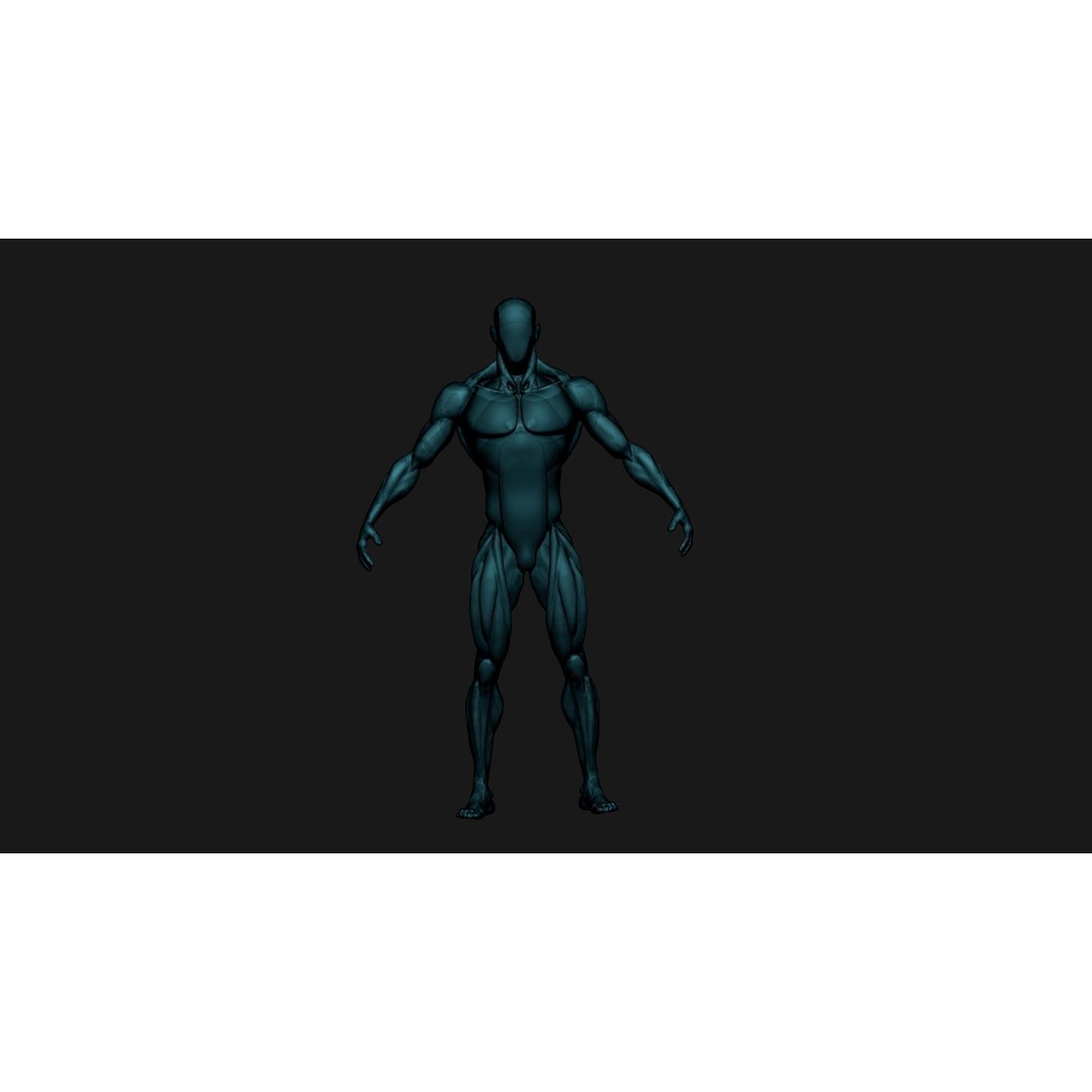 Stylized Human Body 3D Model – High Poly Character Asset, FBX - View 16