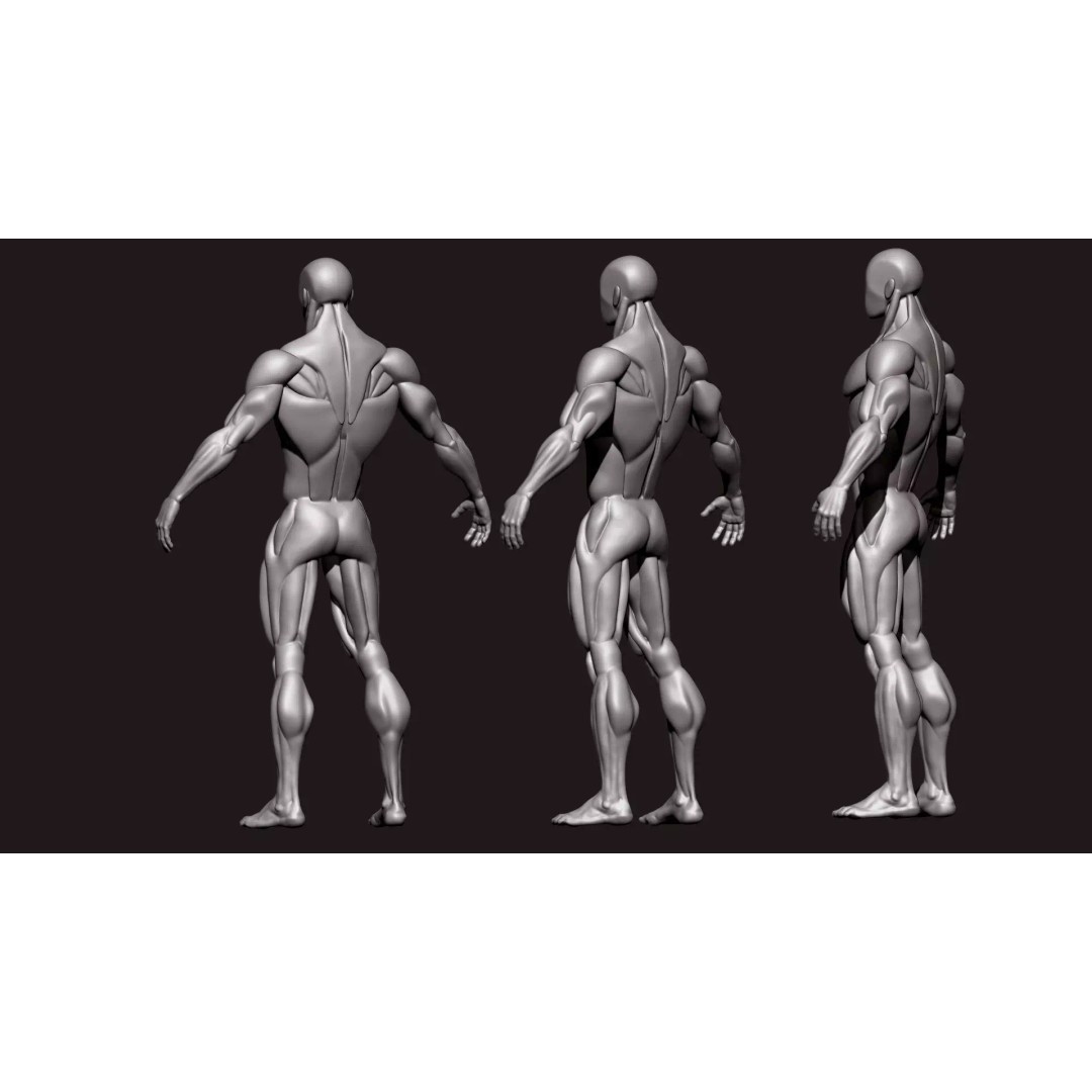 Stylized Human Body 3D Model – High Poly Character Asset, FBX - View 2