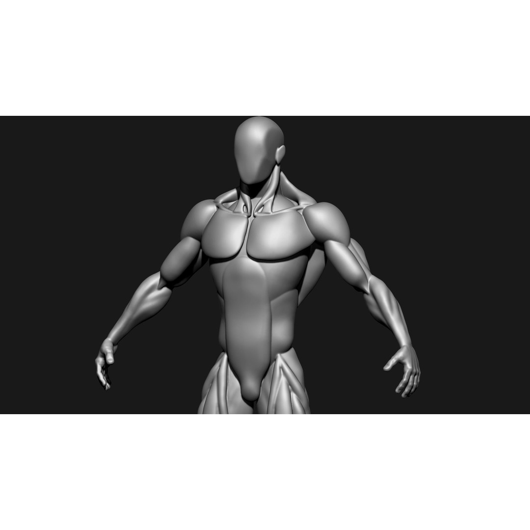 Stylized Human Body 3D Model – High Poly Character Asset, FBX - View 20