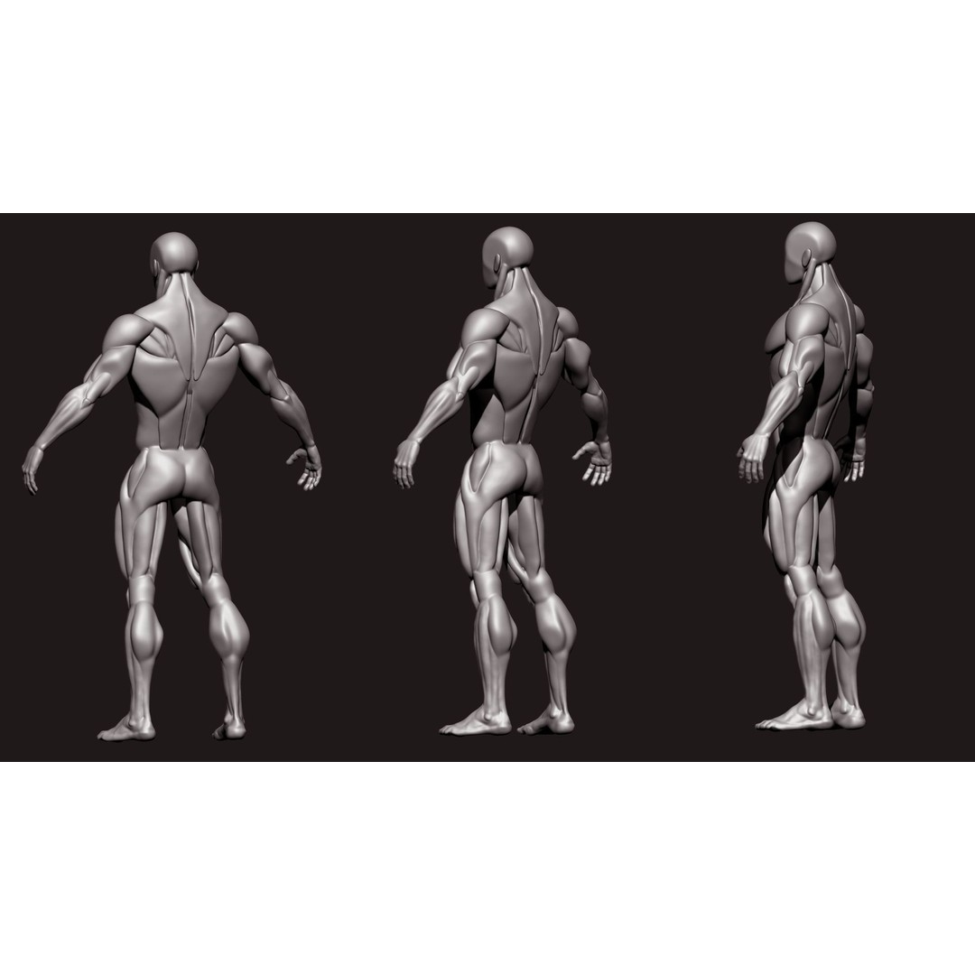 Stylized Human Body 3D Model – High Poly Character Asset, FBX - View 3