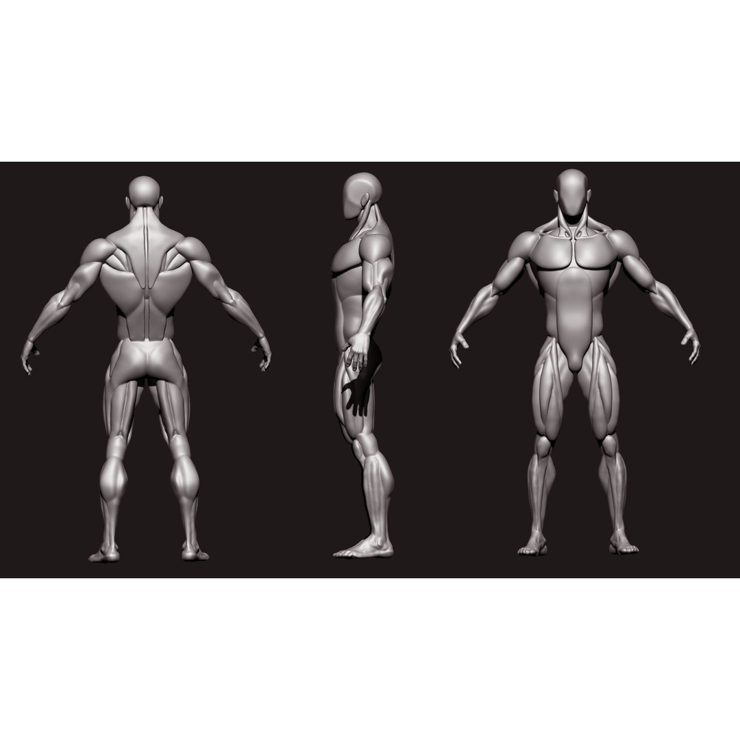 Stylized Human Body 3D Model – High Poly Character Asset, FBX - View 4