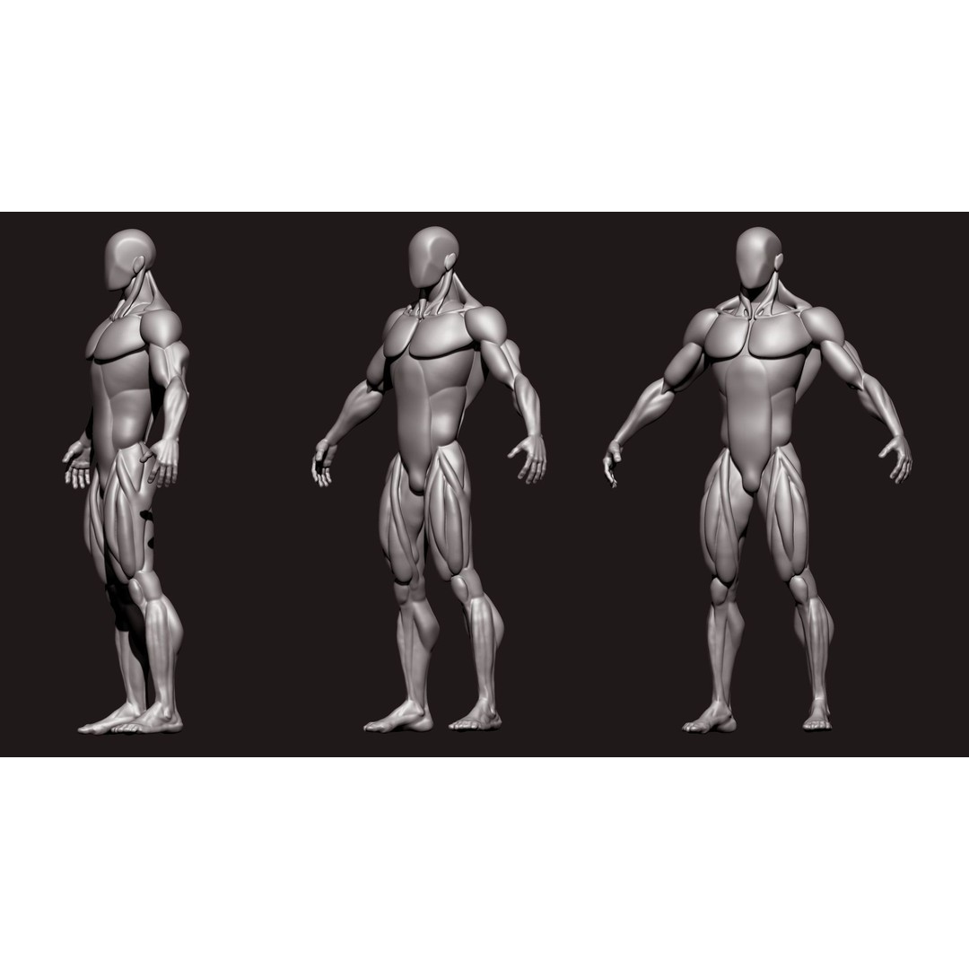 Stylized Human Body 3D Model – High Poly Character Asset, FBX - View 5