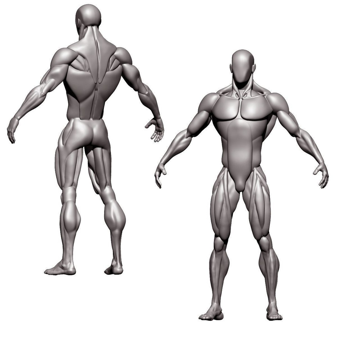 Stylized Human Body 3D Model – High Poly Character Asset, FBX - View 7