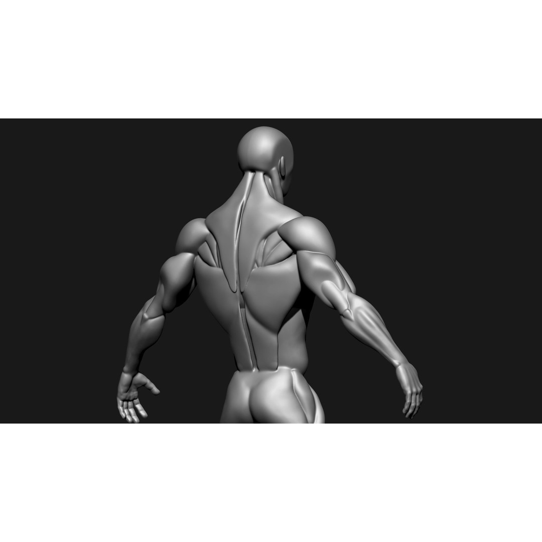 Stylized Human Body 3D Model – High Poly Character Asset, FBX - View 8