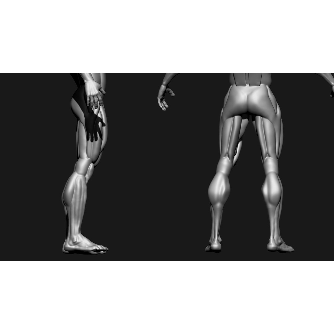 Stylized Human Body 3D Model – High Poly Character Asset, FBX - View 9