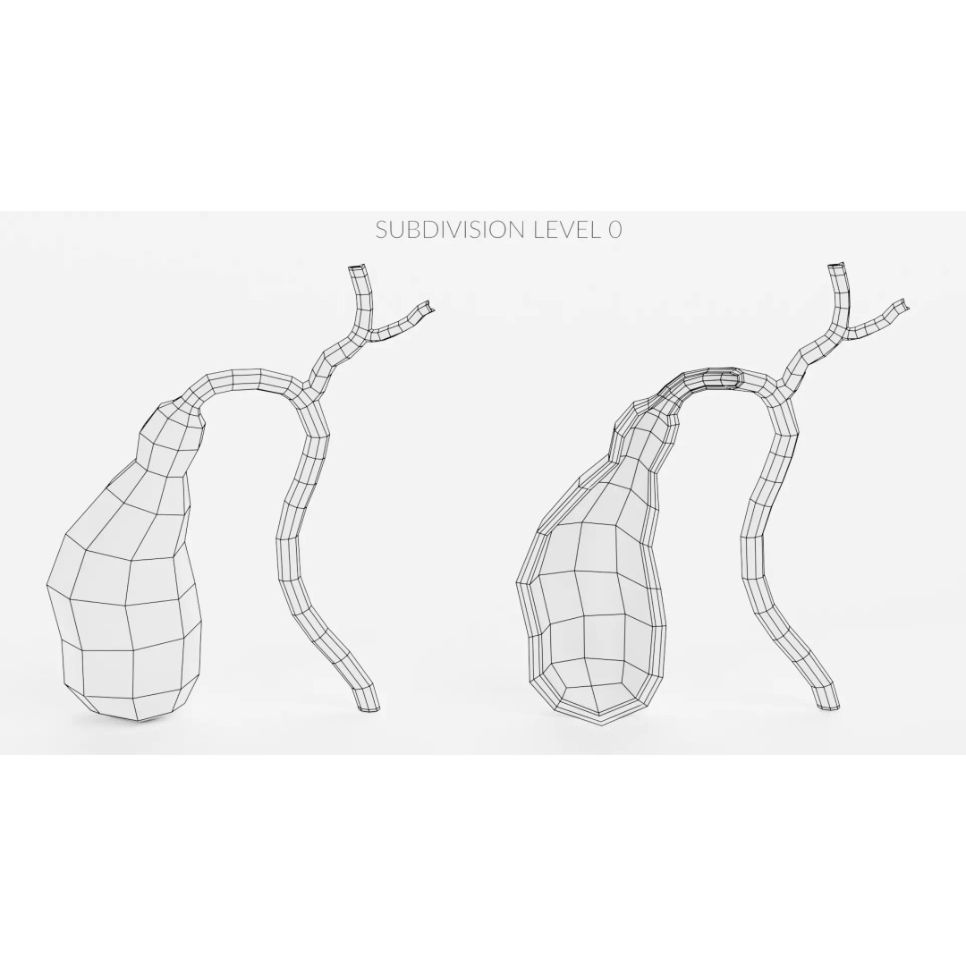 Gallbladder 3D Model – Realistic Human Anatomy with Internal Section - View 12