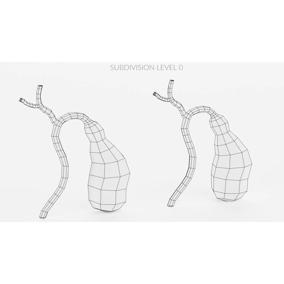 Gallbladder 3D Model – Realistic Human Anatomy with Internal Section - View 14