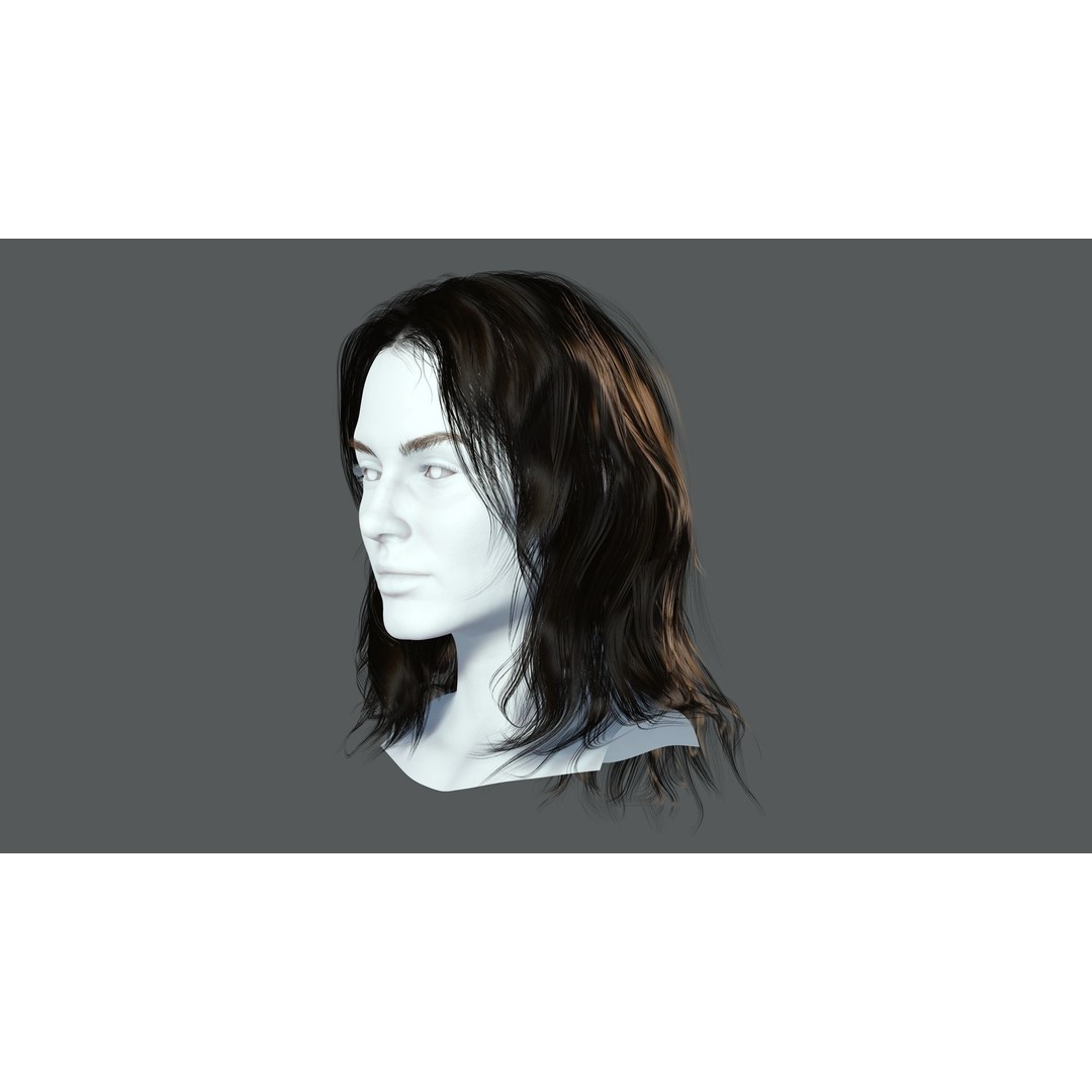 Realistic Female Hair Card 3D Model – Low-Poly Game Asset, FBX - View 5