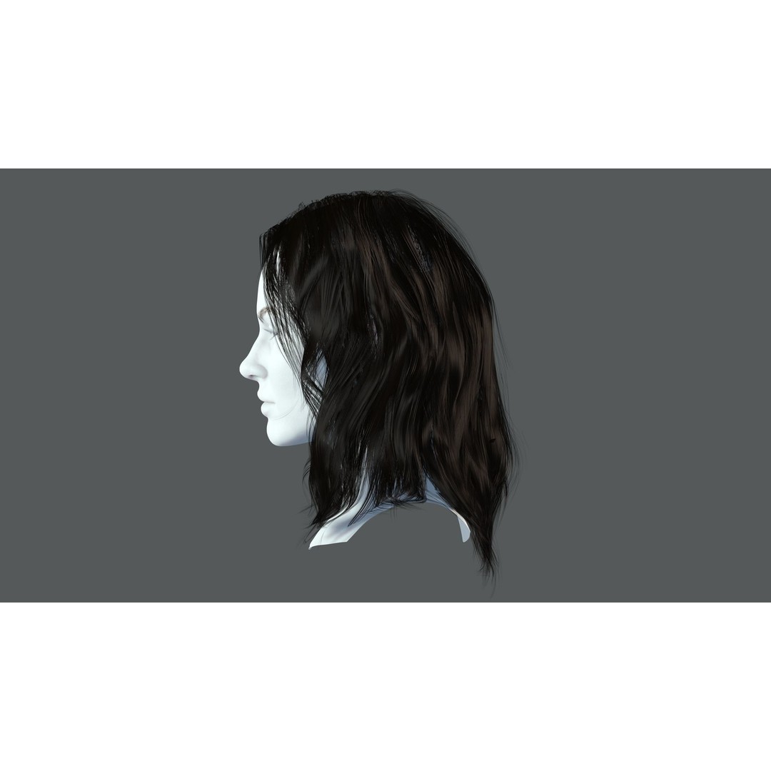 Realistic Female Hair Card 3D Model – Low-Poly Game Asset, FBX - View 6