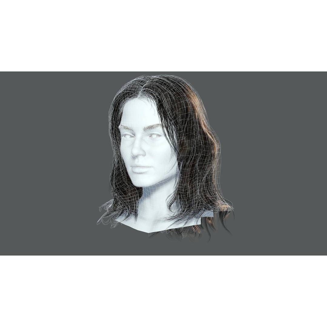 Realistic Female Hair Card 3D Model – Low-Poly Game Asset, FBX - View 9