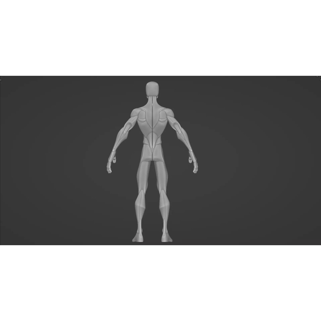 Stylized Male Anatomy Blockout 3D Model – Base Character Asset, FBX, OBJ, Blender