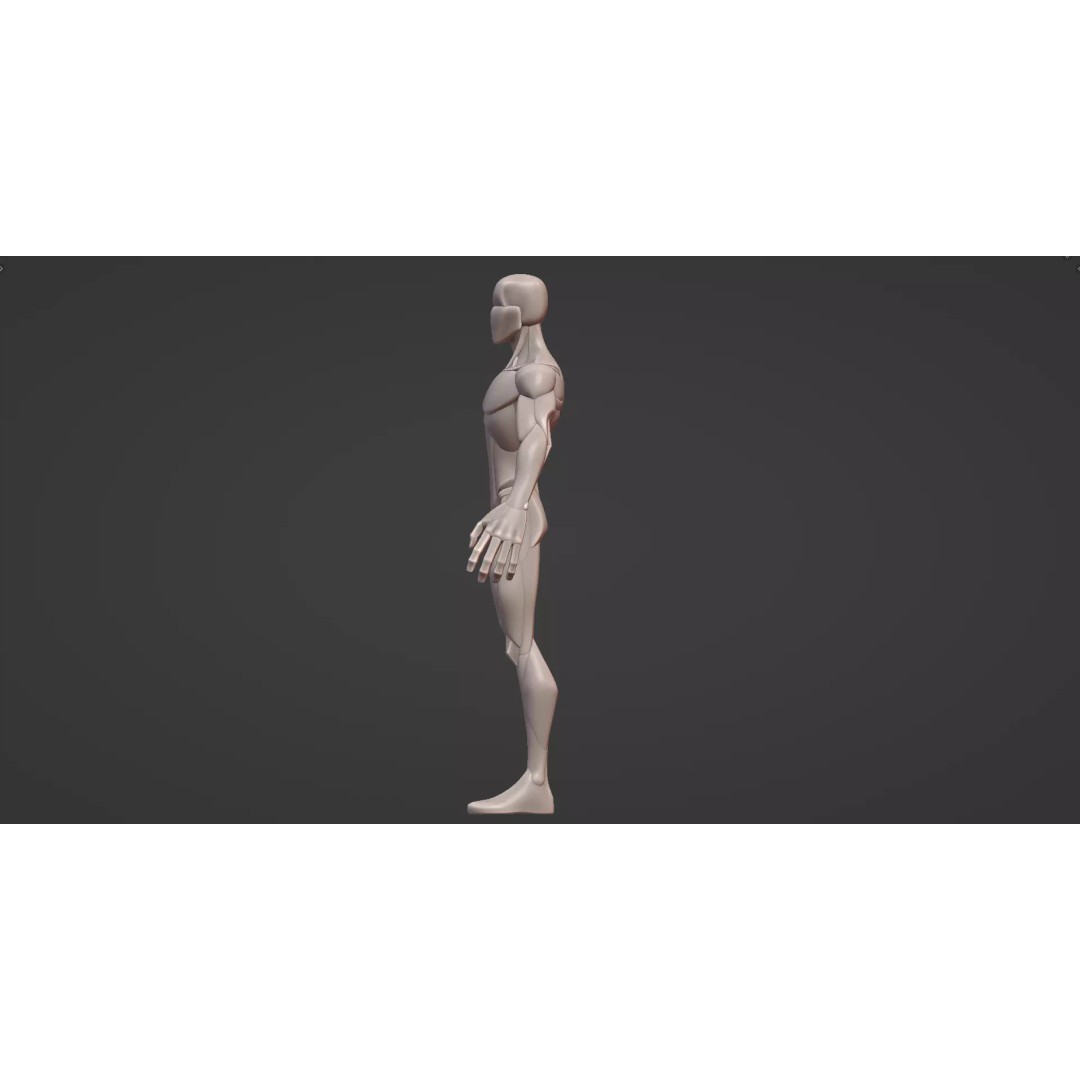 Stylized Male Anatomy Blockout 3D Model – Base Character Asset, FBX, OBJ, Blender - View 10