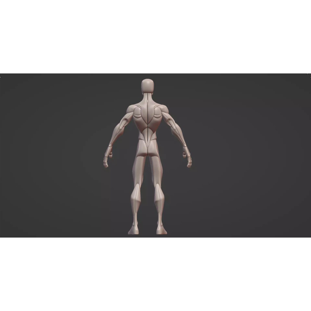 Stylized Male Anatomy Blockout 3D Model – Base Character Asset, FBX, OBJ, Blender - View 11