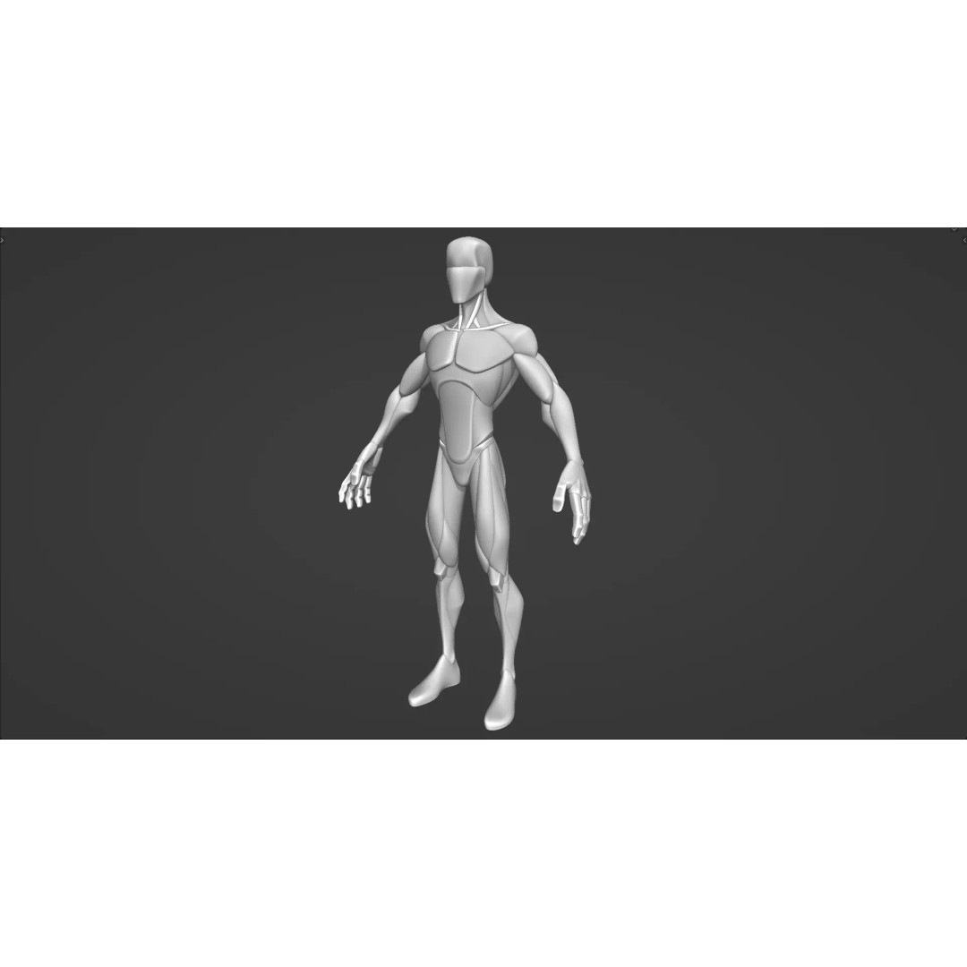 Stylized Male Anatomy Blockout 3D Model – Base Character Asset, FBX, OBJ, Blender - View 12