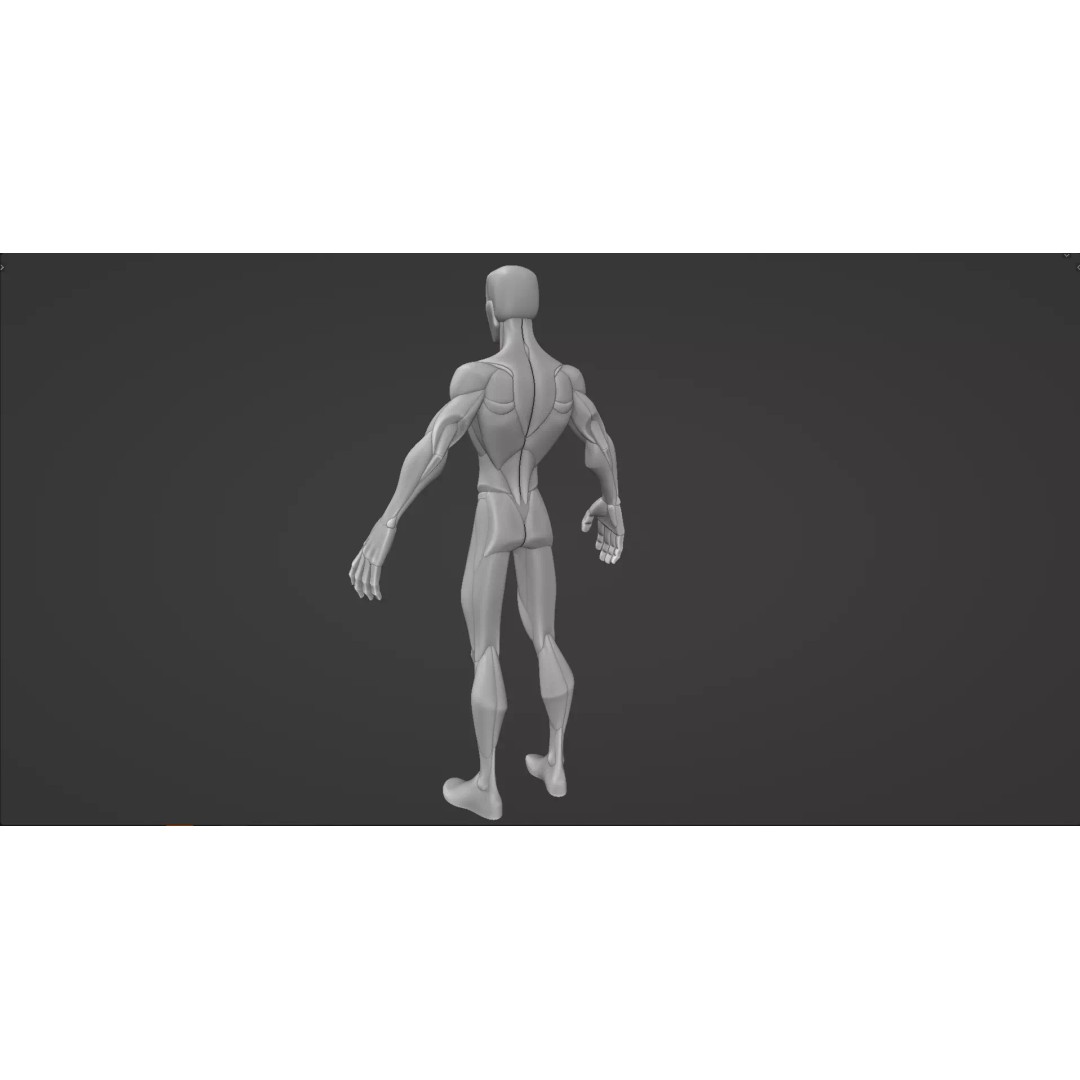 Stylized Male Anatomy Blockout 3D Model – Base Character Asset, FBX, OBJ, Blender - View 13