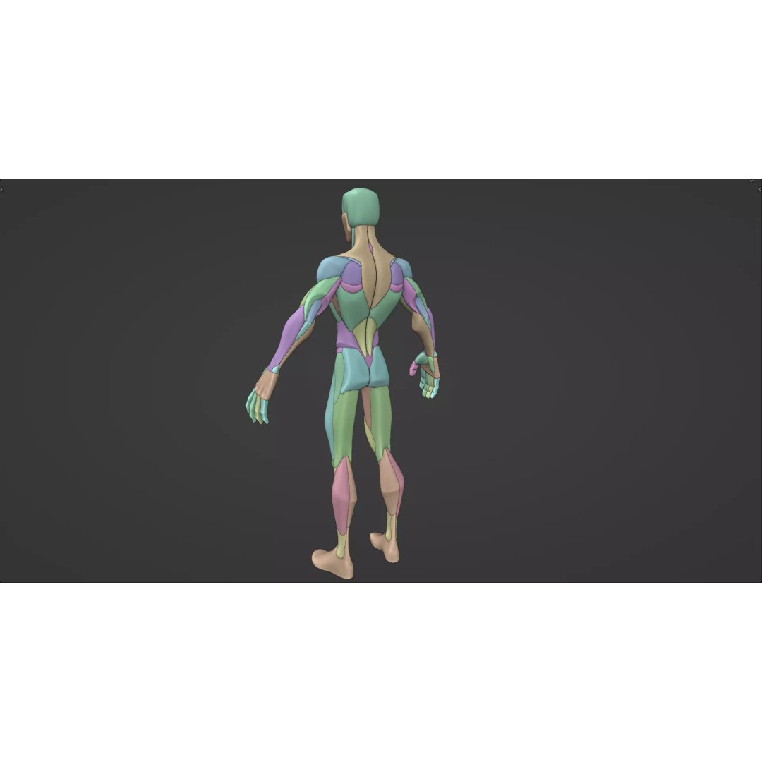 Stylized Male Anatomy Blockout 3D Model – Base Character Asset, FBX, OBJ, Blender - View 3