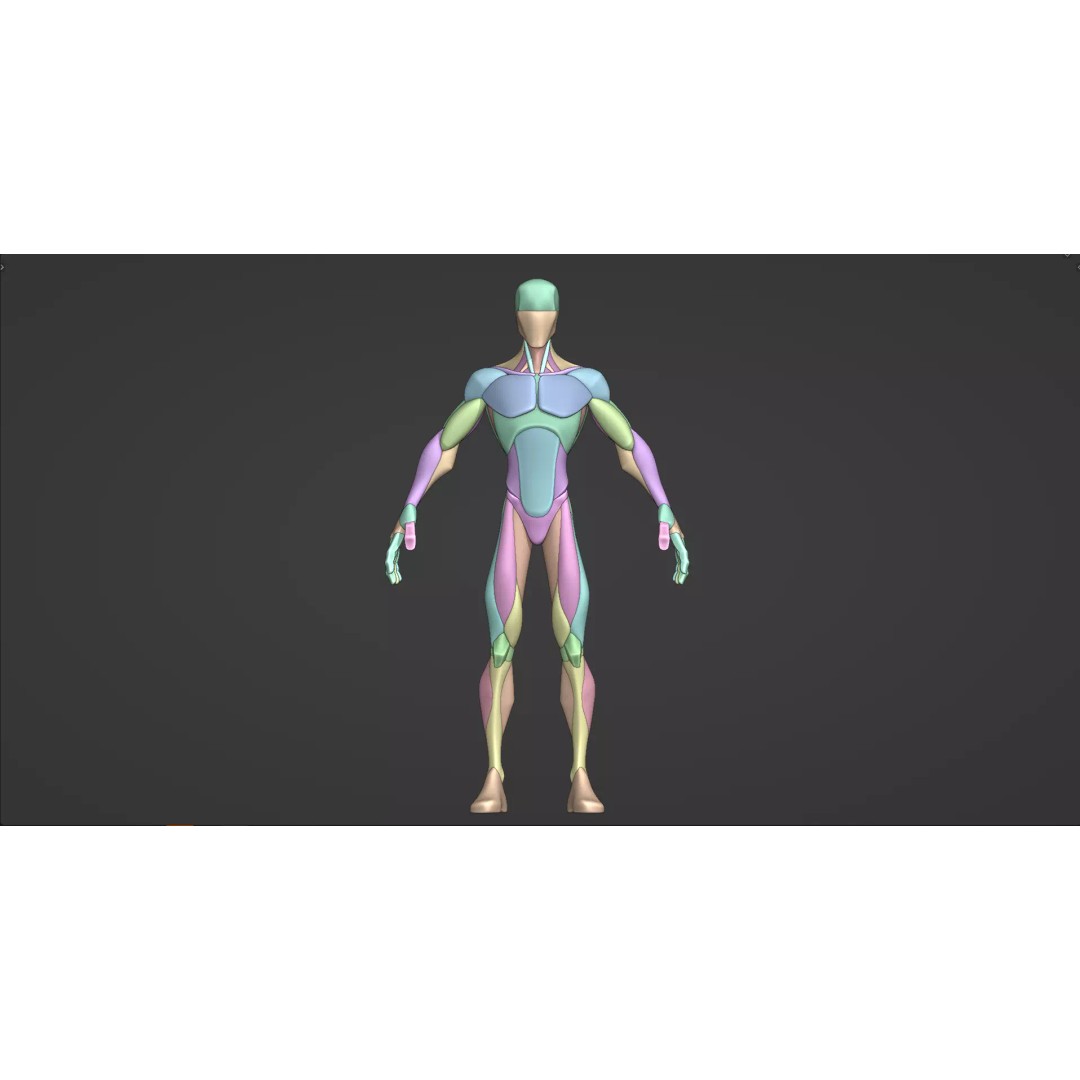 Stylized Male Anatomy Blockout 3D Model – Base Character Asset, FBX, OBJ, Blender - View 4