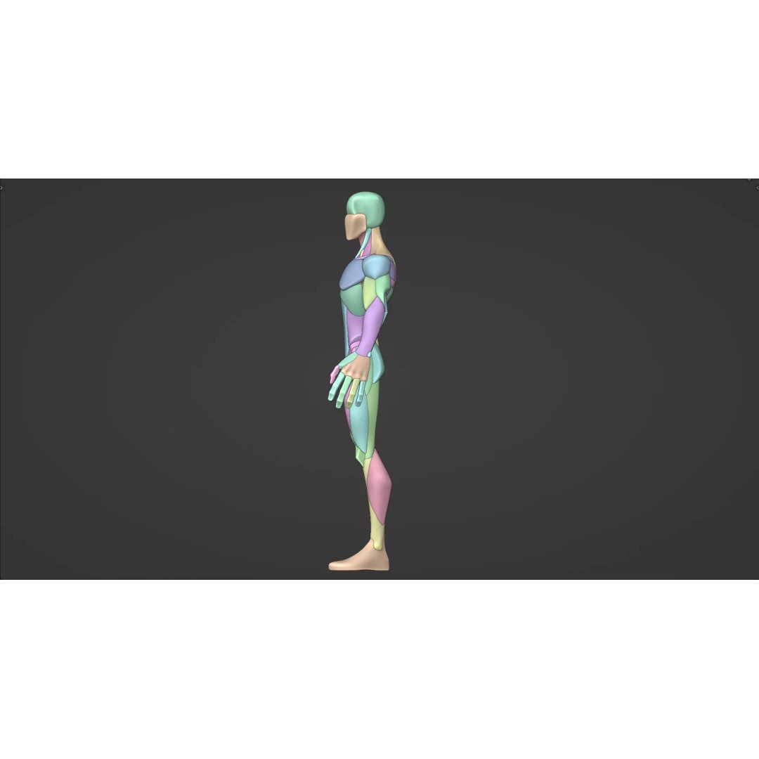 Stylized Male Anatomy Blockout 3D Model – Base Character Asset, FBX, OBJ, Blender - View 5