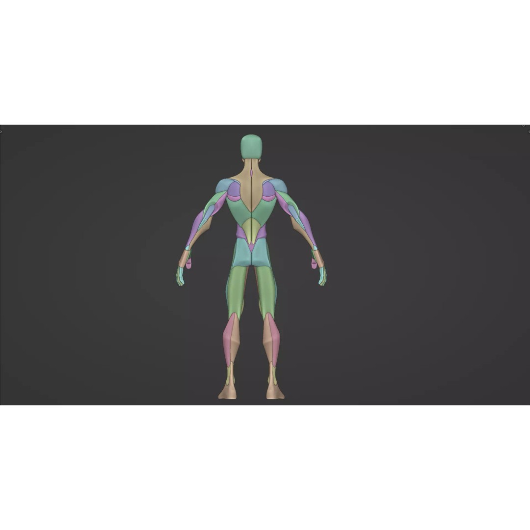 Stylized Male Anatomy Blockout 3D Model – Base Character Asset, FBX, OBJ, Blender - View 6