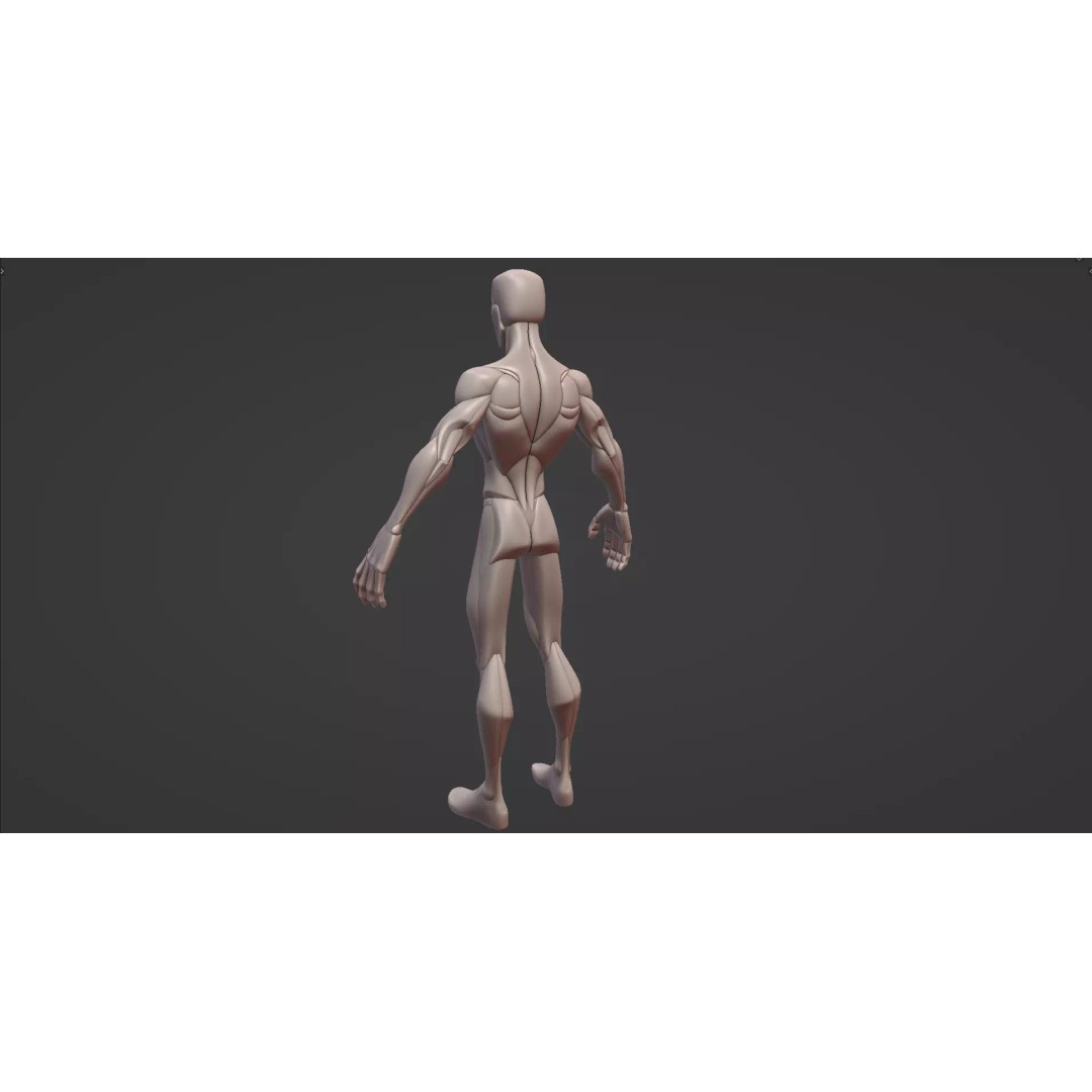Stylized Male Anatomy Blockout 3D Model – Base Character Asset, FBX, OBJ, Blender - View 8