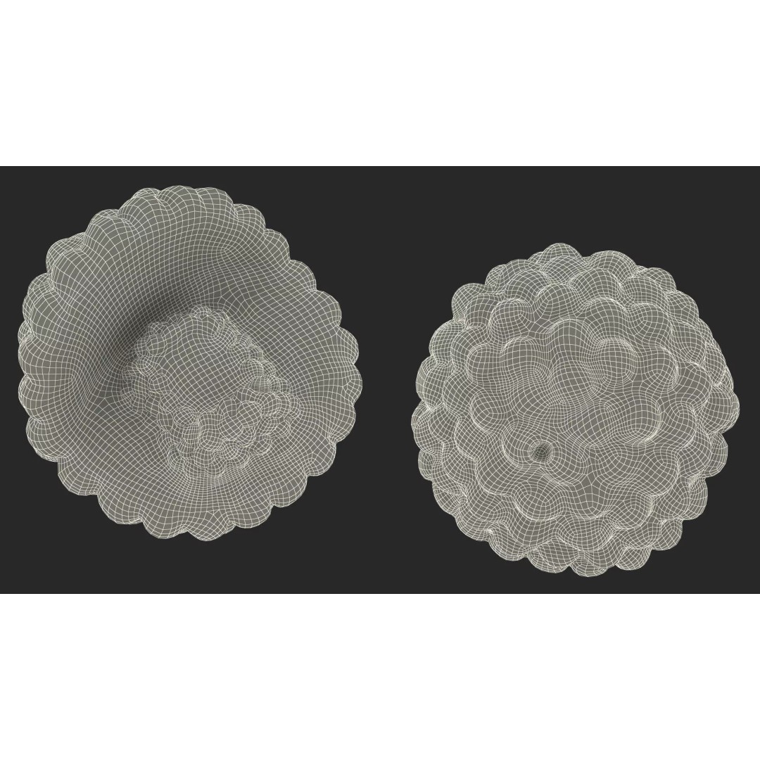 Half-Shell HIV Virus Structure 3D Model – PBR Textured Educational Asset, FBX - View 16