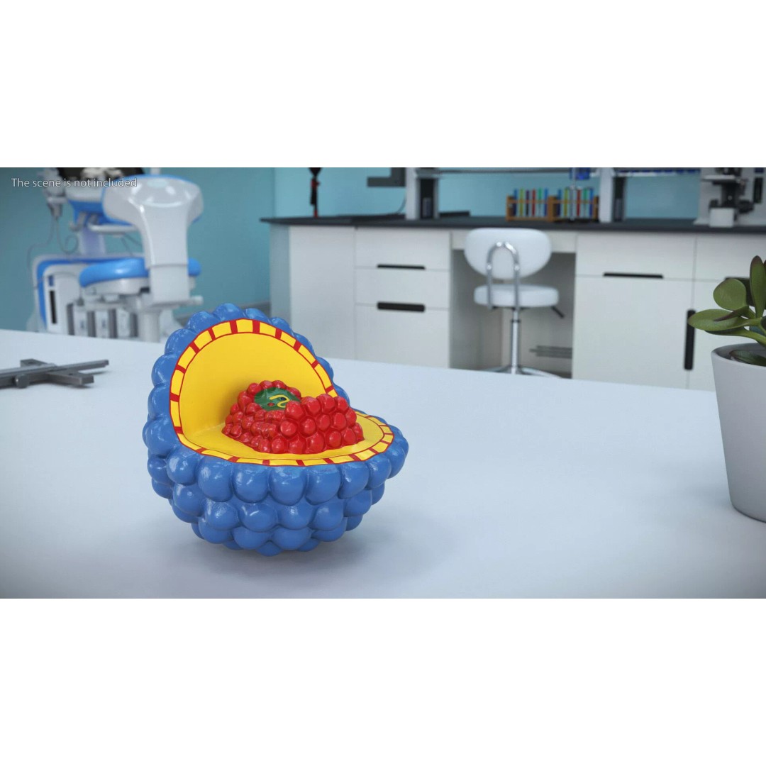 Half-Shell HIV Virus Structure 3D Model – PBR Textured Educational Asset, FBX - View 3