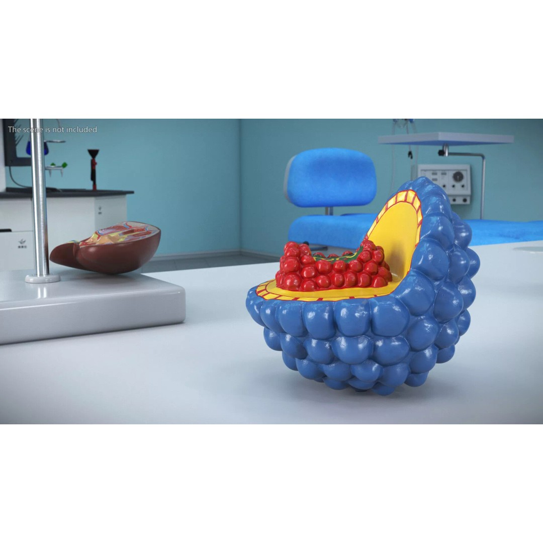 Half-Shell HIV Virus Structure 3D Model – PBR Textured Educational Asset, FBX - View 4