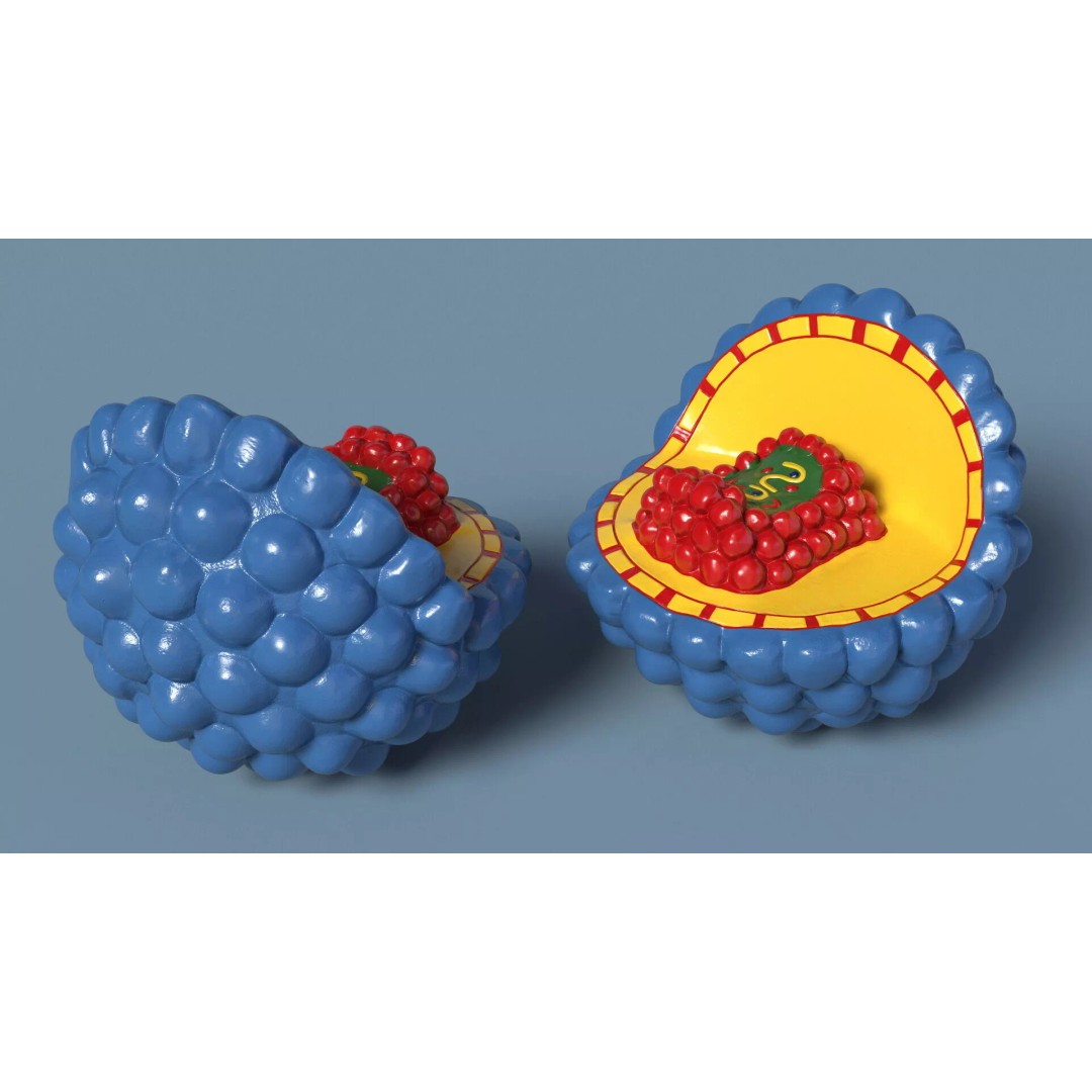 Half-Shell HIV Virus Structure 3D Model – PBR Textured Educational Asset, FBX - View 5