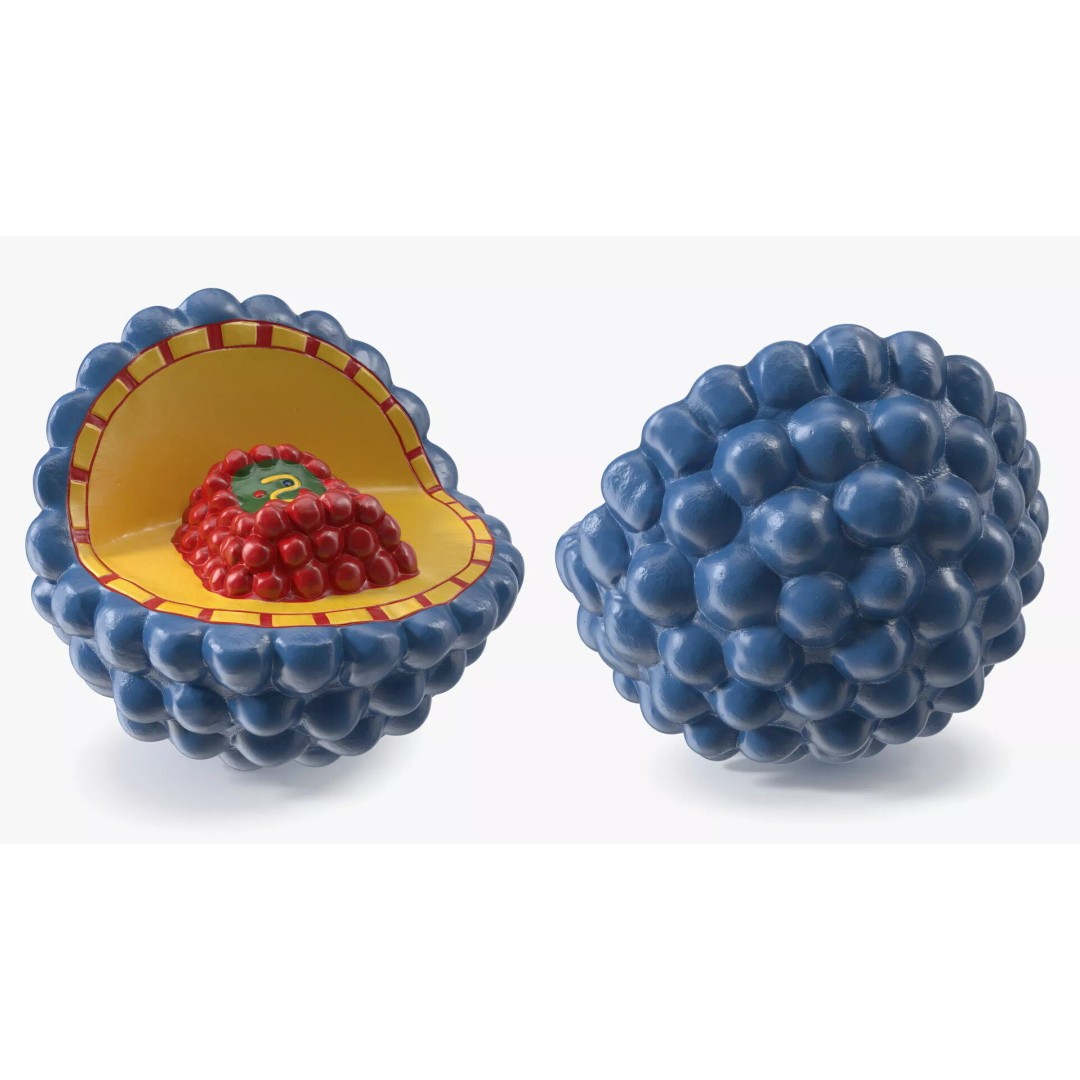 Half-Shell HIV Virus Structure 3D Model – PBR Textured Educational Asset, FBX - View 6