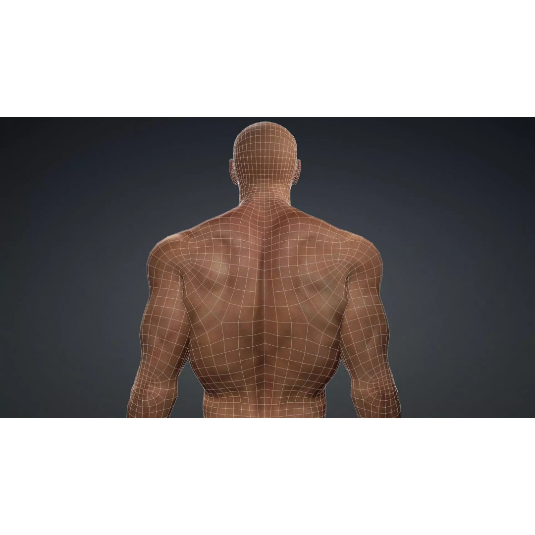 Muscular Black Male Character 3D Model – Rigged PBR Game Asset, FBX - View 17