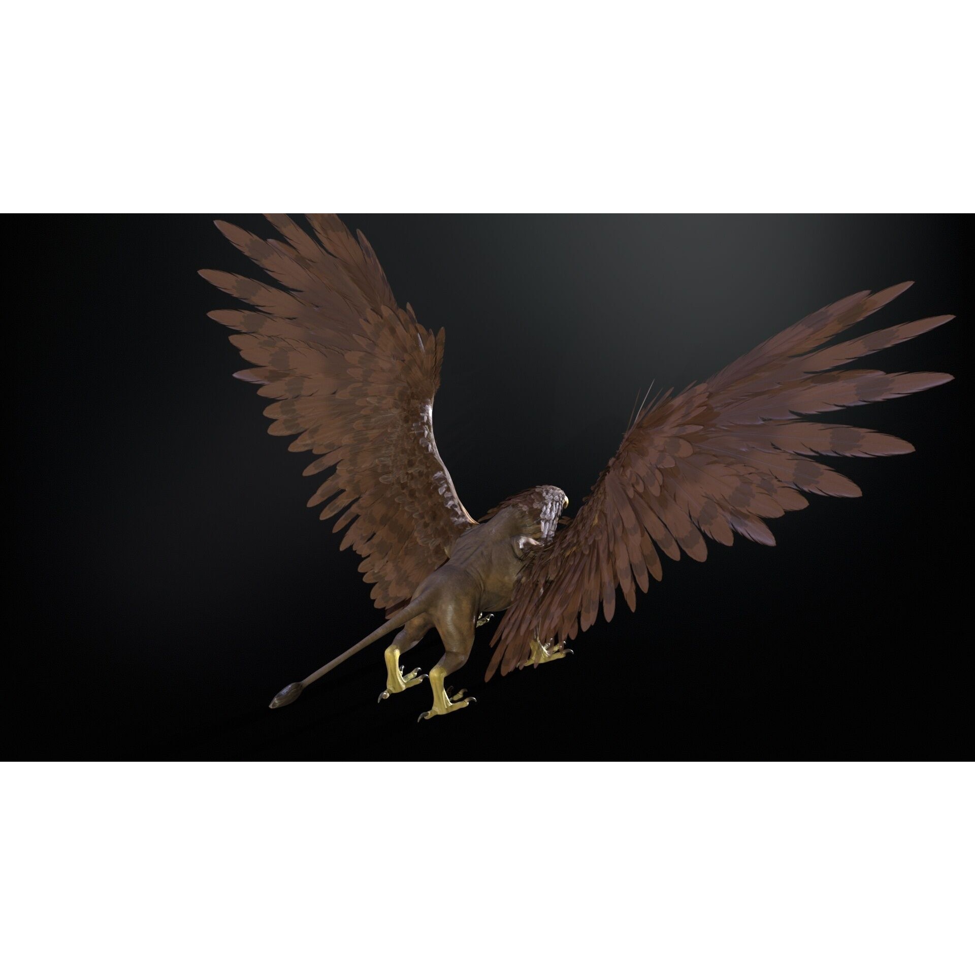 Griffon - Low-Poly Game-Ready 3D Model - View 13