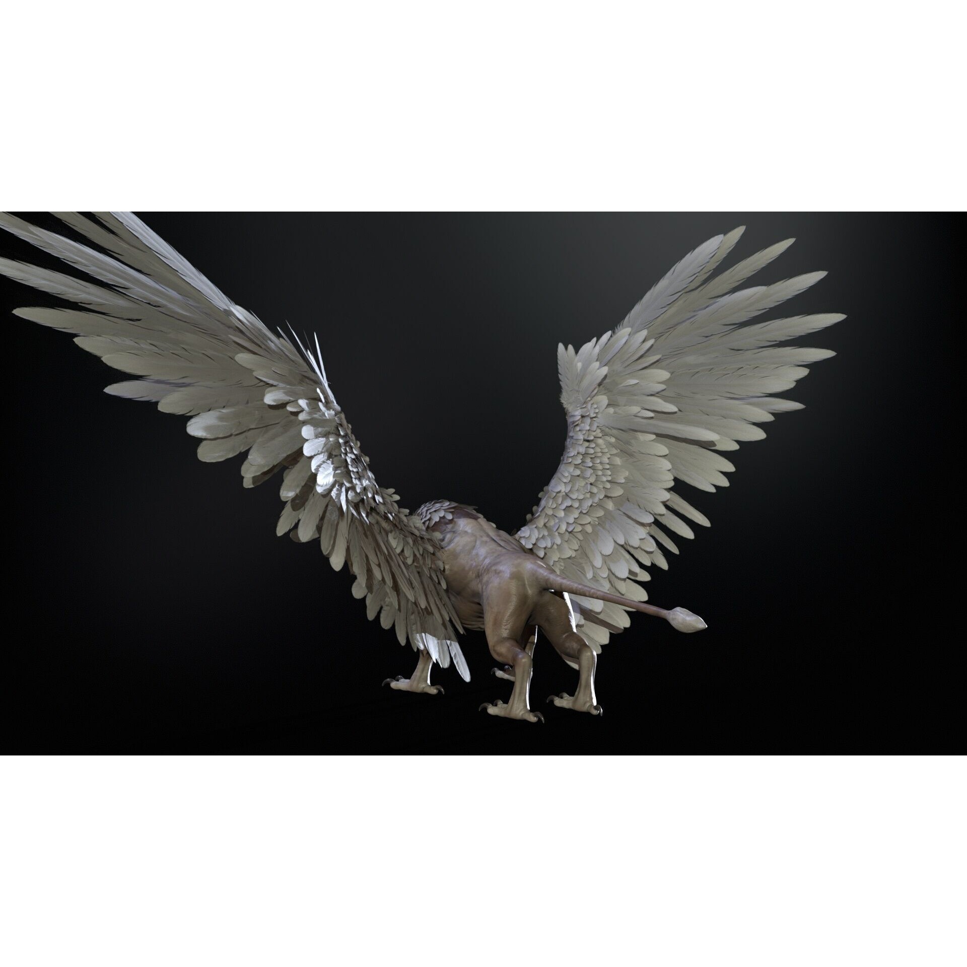 Griffon - Low-Poly Game-Ready 3D Model - View 17