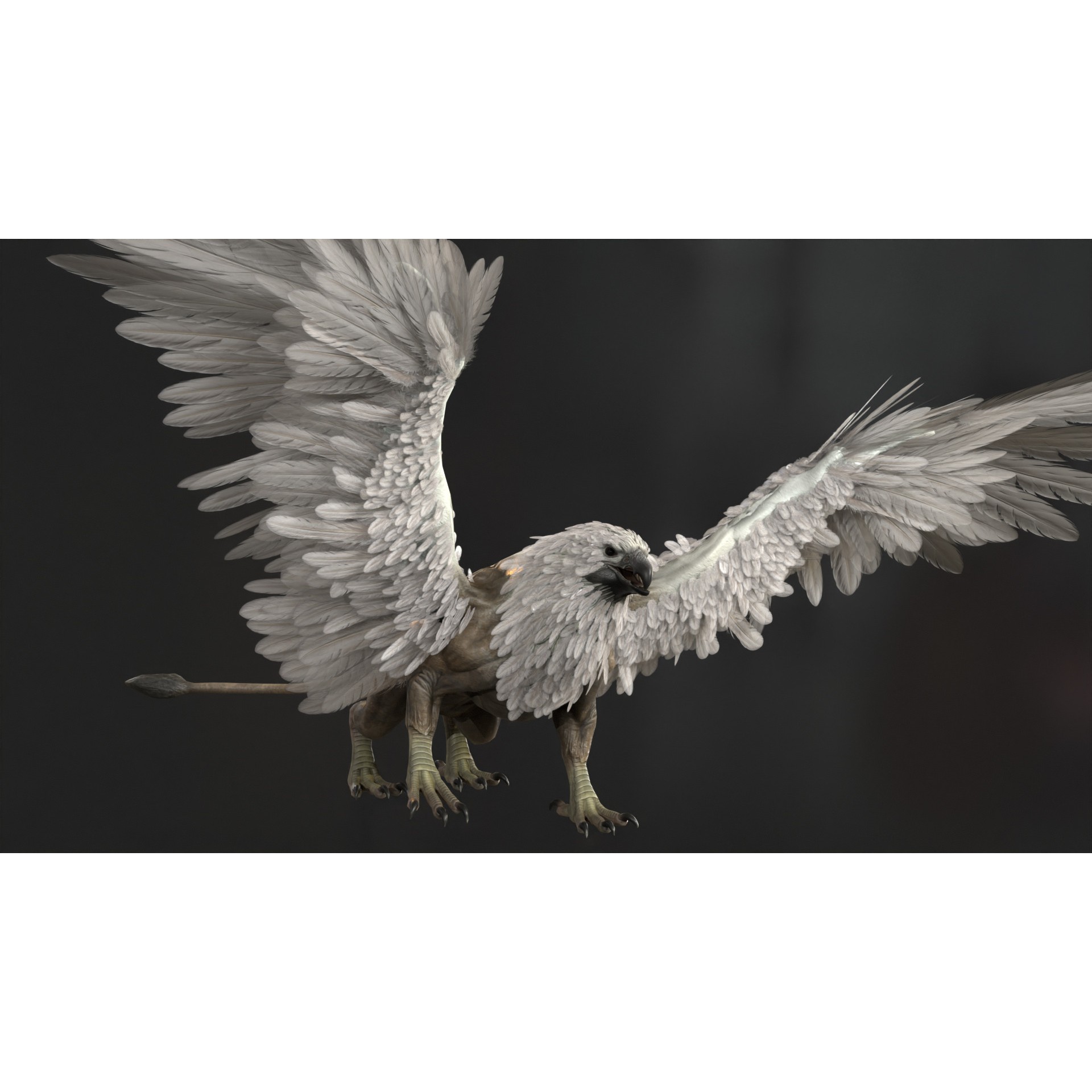 Griffon - Low-Poly Game-Ready 3D Model - View 22