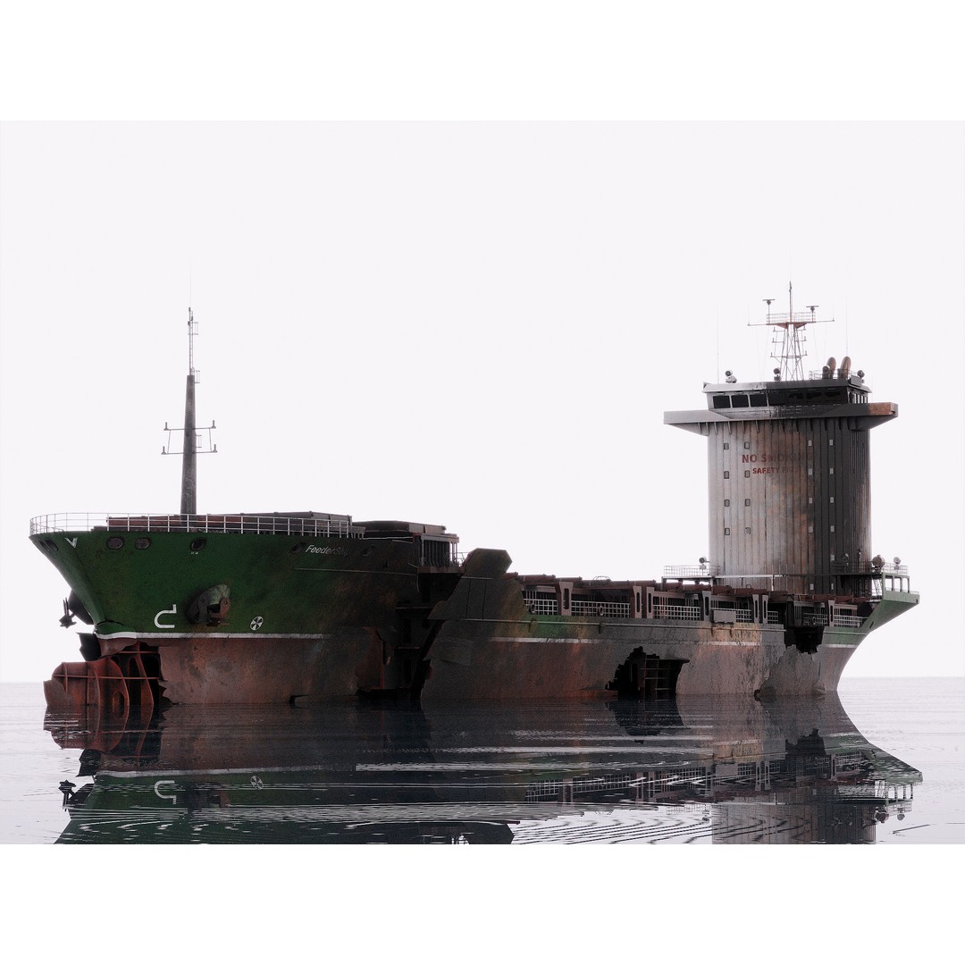 Burned Ship 3D Model – High Quality PBR Container Feeder, FBX - View 2