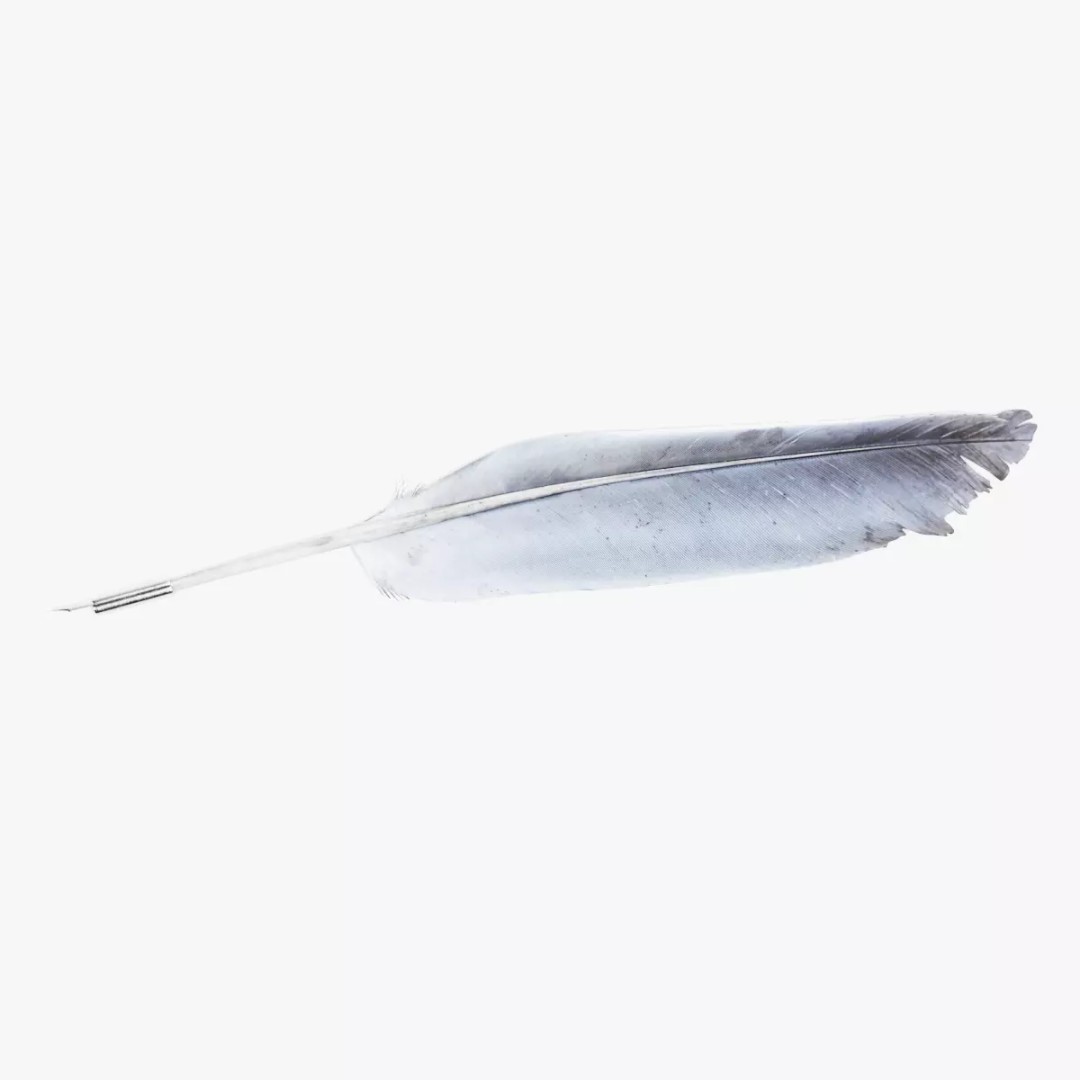 Quill 3D Model – Realistic Feather Ink Pen with PBR Textures