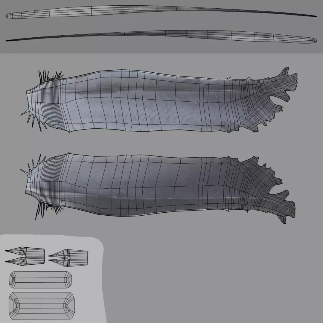 Quill 3D Model – Realistic Feather Ink Pen with PBR Textures - View 10